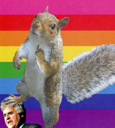 gay+squirrel