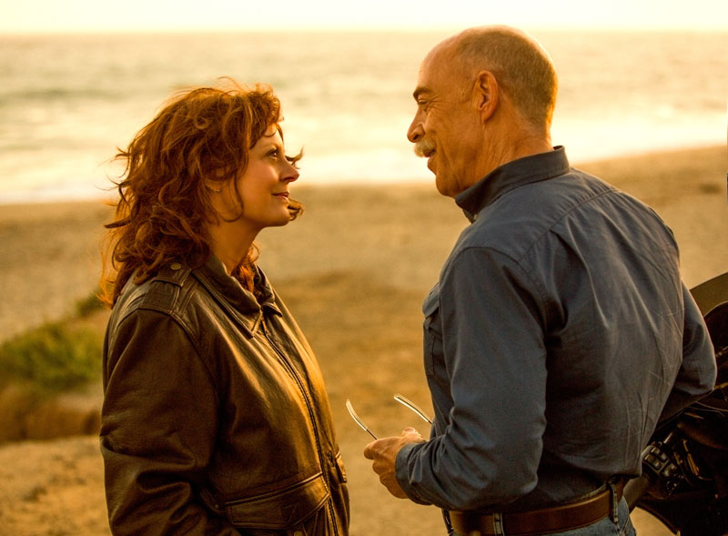 The Meddler