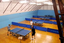 The Austin Table Tennis Association: Looking for Gumps