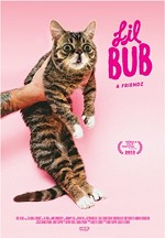 Internet Sensation Lil Bub Wins at Tribeca