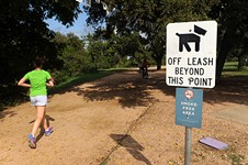 Parks Board Supports Shrinking Off-Leash Area
