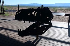 Day Trips: Big Bend Fossil Discovery Center