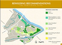 Public Notice: Rewilding Zilker Park