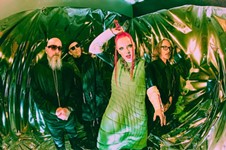 Still Charmed, Shirley Manson Talks Decades of Touring and New Bionic Hip