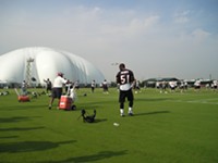 Inside the Texans' Training Camp