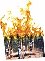 Campfire Horror Story