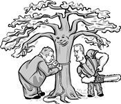 Heritage Tree Ordinance Takes Root