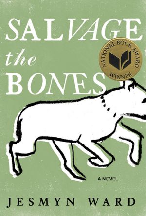 Mayor's Book Club: 'Salvage the Bones'