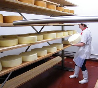 Cowgirl Creamery cheesemaker Maureen Cunnie turning Buckaroo cheeses as they age