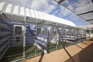 A row of new dog adoption kennels – or town homes, as Abigail Smith calls them. These kennels are larger than those at TLAC and far more sanitary. Each one features Astroturf floors outside and showers inside.