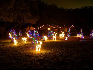 A wet winter wonderland of holiday spirit brightens the night in front of our home with 14 trees, 10 deer, and a whole lotta extension cords.