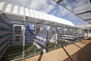 The Austin Animal Center is already hovering at or near capacity because of fewer dog kennels at the new facility.