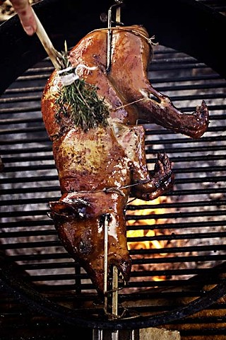 Whole baby feral hog grilled with herbs