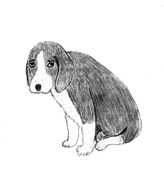 The Luv Doc: Sad Puppy