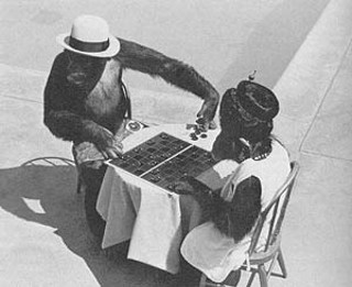Lancelot Link<i> </i>and girlfriend (and fellow secret agent) Mata Hari play checkers incognito ca. 1971.