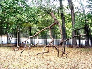 Mari Shields' <i>Alive Again</i>, Umlauf Sculpture Garden & Museum, 2006