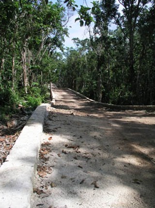 A hand-built road into Los Árboles Tulum