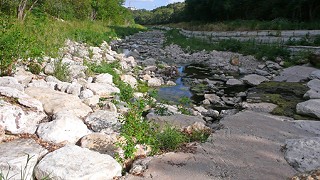Dry creek beds, like this one along Shoal Creek, are the norm these days as Austin approaches an alarm stage drought.
