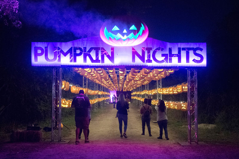 Pumpkin Nights at JourdanBachman Pioneer Farms 1 of 40 Photos
