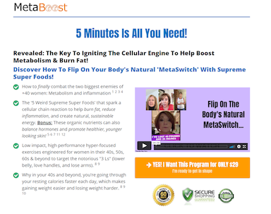 MetaBoost Connection Reviews: Is Meredith Shirk System Legit: Review ...