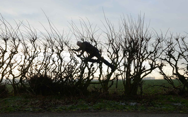 Leaning Into the Wind: Andy Goldsworthy