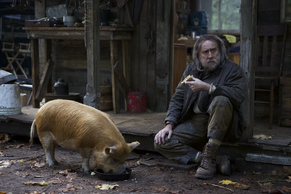 Pig