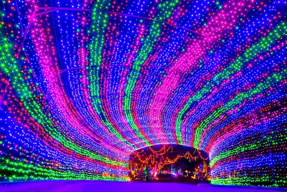 Trail Of Lights Austin 2025