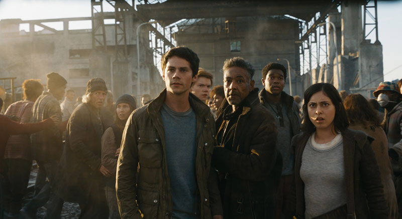 Review: 'The Maze Runner' Starring Dylan O'Brien, Kaya Scodelario, Patricia  Clarkson, Will Poulter And More – IndieWire