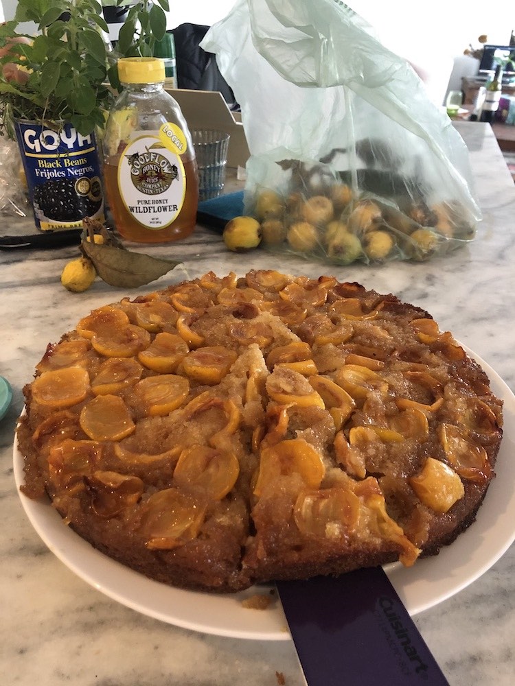 Make Your Own Loquat Upside Down Cake: Get out there and forage some ...