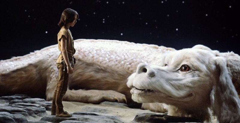 Chronicle Recommends: Animal Movies: Let these furry friends act their way into your heart - Screens - The Austin Chronicle Chronicle Recommends: Animal Movies: Let these furry friends act their way into your heart - Screens - The Austin Chronicle