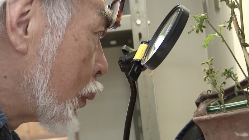 Never-Ending Man: Hayao Miyazaki