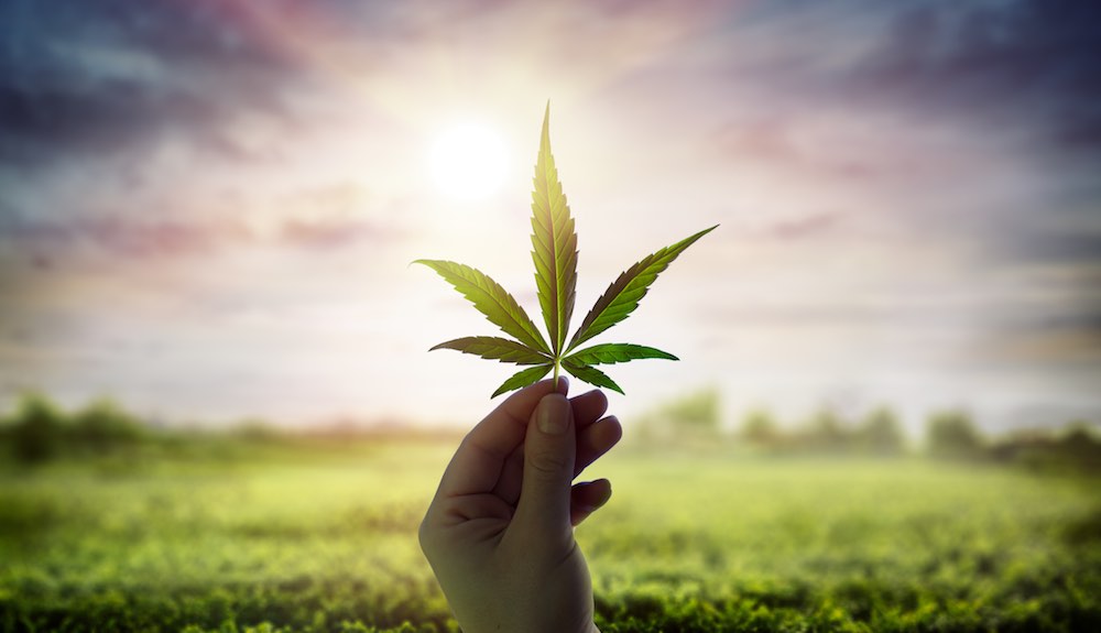 Guide to 4/20 Events and Resources in Austin Everyone needs to chill