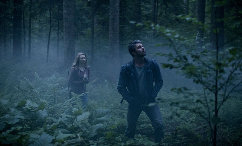 The Forest