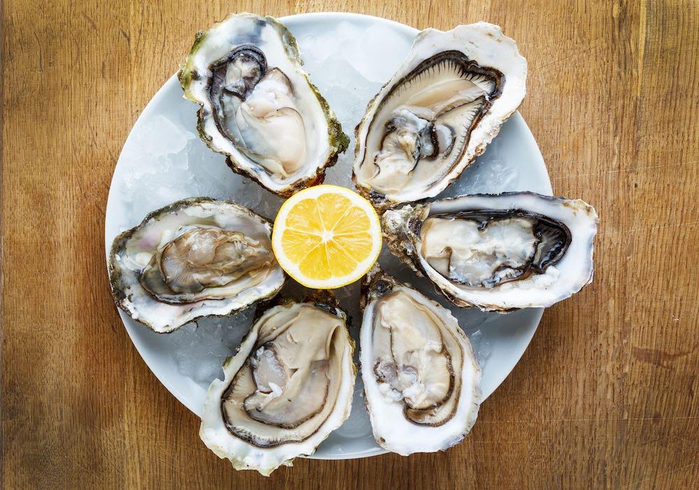 How to Shuck an Oyster Without Hurting Yourself