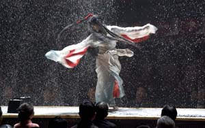 Memoirs of a Geisha