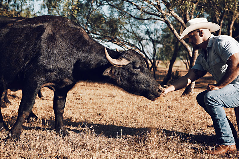 charter konsol national flag OroBianco Italian Creamery Makes Magic With Water Buffalo Milk: Making  mozzarella from white gold - Food - The Austin Chronicle