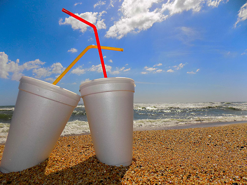 What s the Deal With Styrofoam Cups and Plastic Drinking Straws