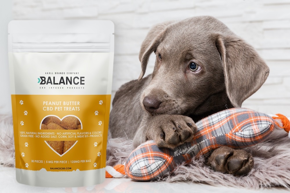 healthy dog treat brands