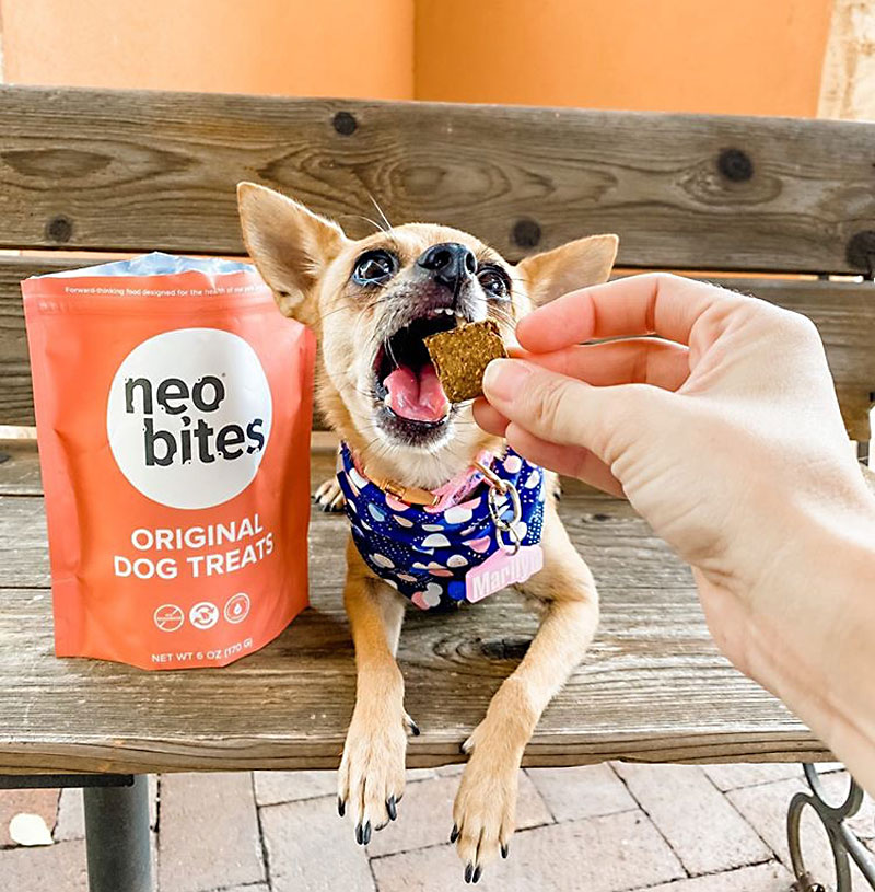 Neos dog chews best sale