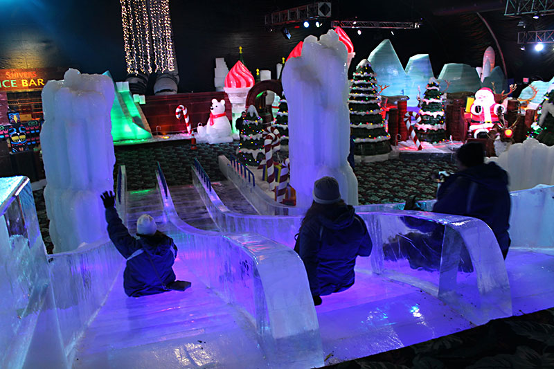 Day Trips: Ice Land, Moody Gardens, Galveston: Ice sculpture is the ...