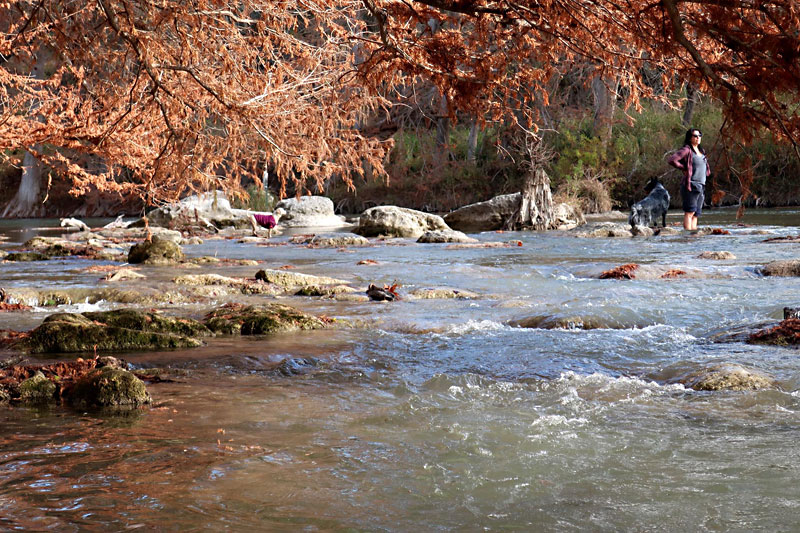 Day Trips: Guadalupe River State Park, Spring Branch: The crown jewel