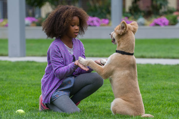 Annie
