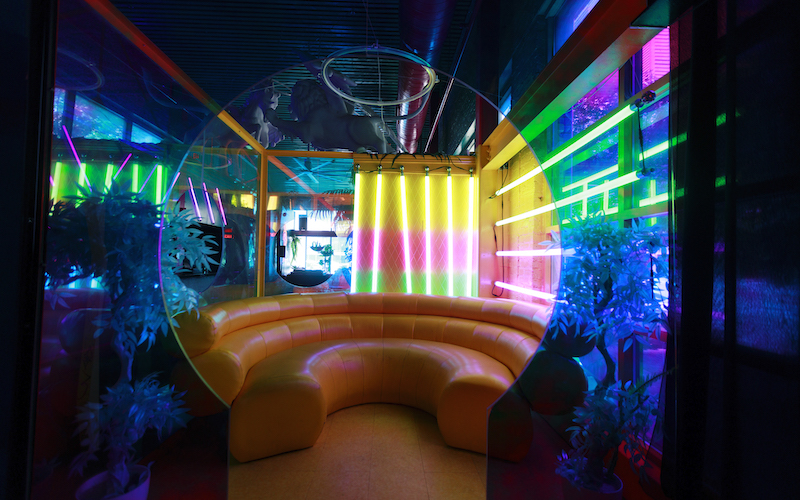 Qmmunity’s (Non-Exhaustive) Guide to Austin Queer Biz