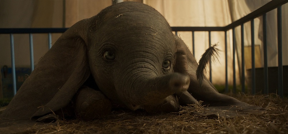 Dumbo