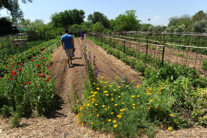 east austin urban farm tour