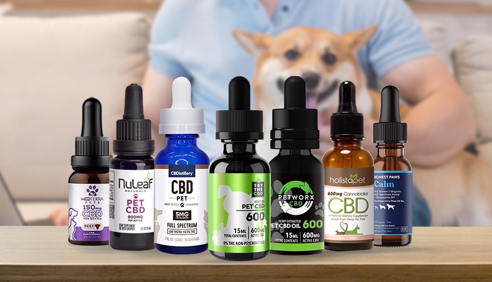Best CBD Oil for Dogs: Our Top Picks: How do dogs benefit from CBD oil -  Events - The Austin Chronicle