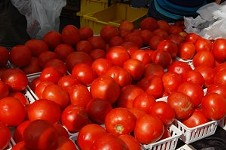 Farmers Market Report: June 23