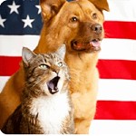 We Want You … To Adopt Today!