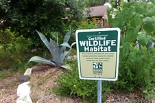 Local Wildlife Habitat Under Siege