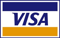 Point Austin: Questions for Visa